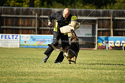 Vila von der Fasanerie2000