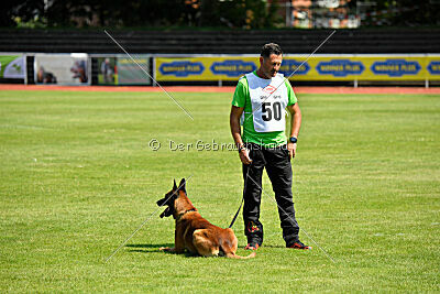 Vito vom Holzhäuser Flur