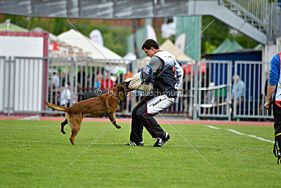 Waild Marinchuk K-9