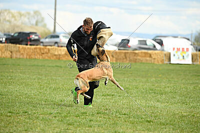 Whats Up von der Steinteichmühle