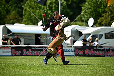 Whats Up von der Steinteichmühle