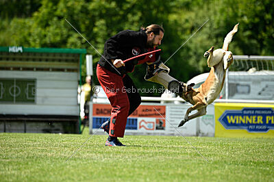 Whats Up von der Steinteichmühle