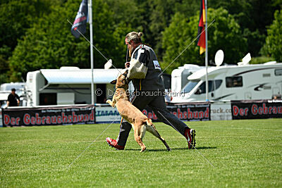 Whats Up von der Steinteichmühle