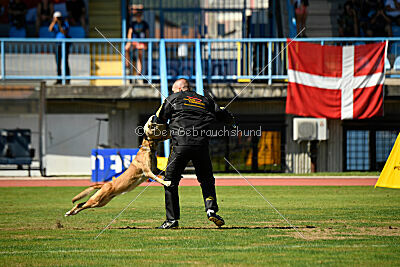 Whats Up von der Steinteichmühle