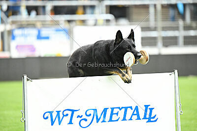 Wilcken Aron