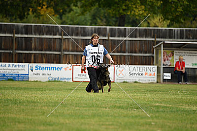 Willow vom Salztalblick