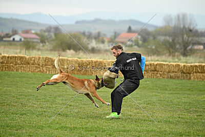 Win vom Further Moor