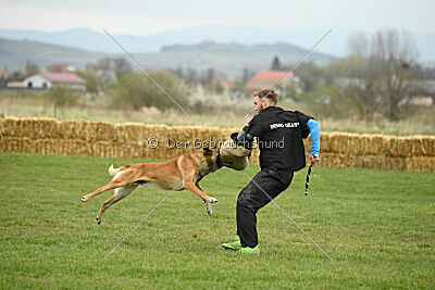 Win vom Further Moor