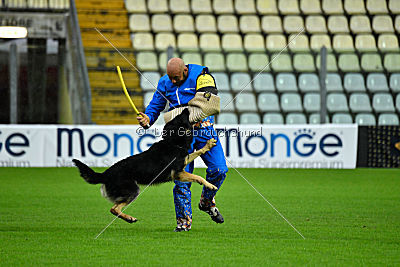 Woody van het Zuidpark