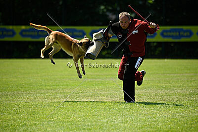 Wox de l'origine de faucon rouge