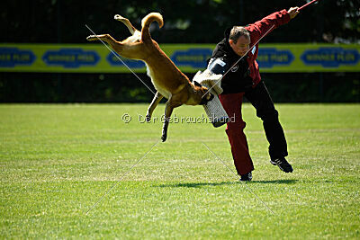 Wox de l'origine de faucon rouge