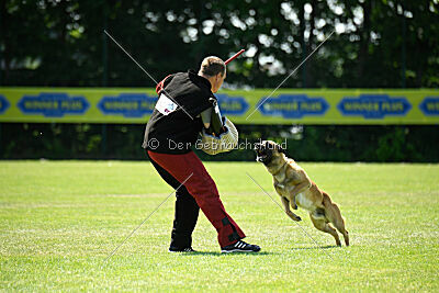 Wox de l'origine de faucon rouge