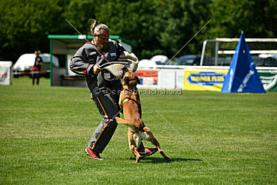 Wox de l'origine de faucon rouge
