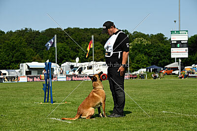 Wox de l'origine de faucon rouge