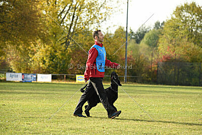 Xara con todos los santos