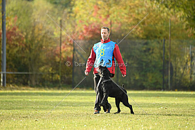 Xara con todos los santos