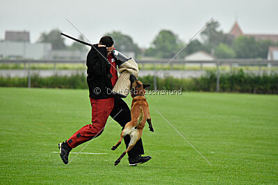 Xarey vom Further Moor