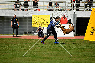 Xarey vom Further Moor