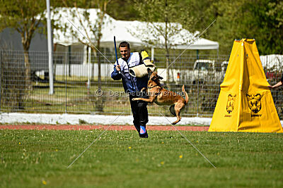 Xarey vom Further Moor