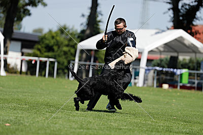 Xaro von der Schönburg