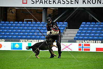 Xero vom Waisagrund