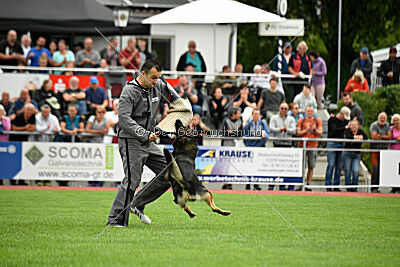 Xero vom Waisagrund