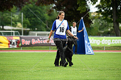 Xioux vom Lindelbrunn