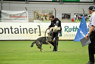 Xmolly vom Wolfsdreieck