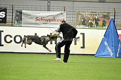 Xmolly vom Wolfsdreieck