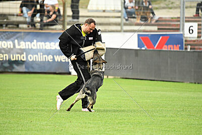 Xmolly vom Wolfsdreieck