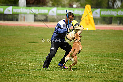 Xyoda vom Further Moor