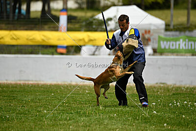 Xyoda vom Further Moor