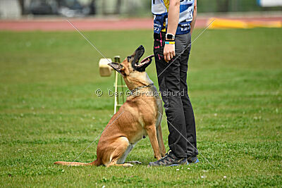 Xyoda vom Further Moor