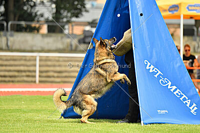Yahoo von Prevent