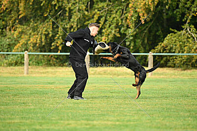 Yan von der Reuthwiese