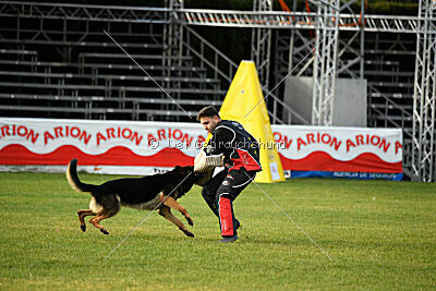 Yukon vom Gsiberger