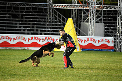 Yukon vom Gsiberger