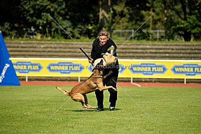 Zack vom Further Moor