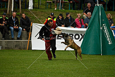 Zack vom Further Moor