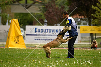 Zack vom Further Moor