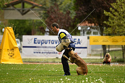 Zack vom Further Moor