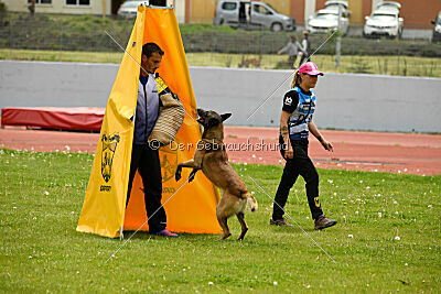 Zack vom Further Moor