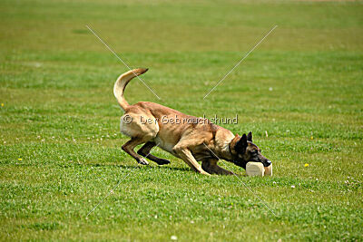 Zack vom Further Moor