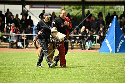 ne pas toucher Aaron