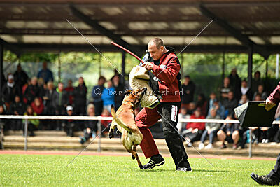 ne pas toucher Aaron