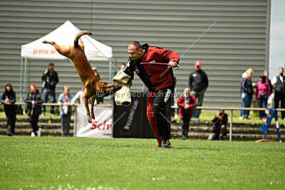 ne pas toucher Aaron