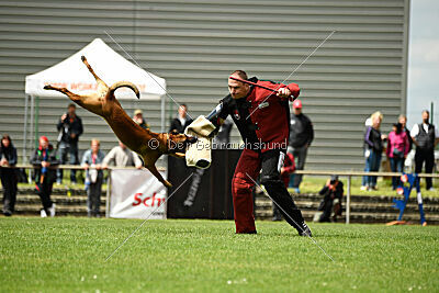 ne pas toucher Aaron