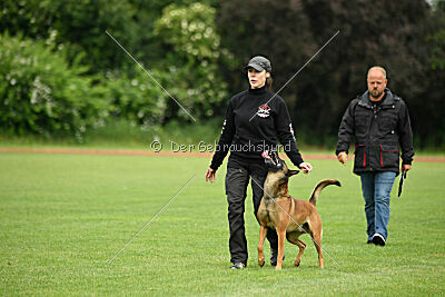 ne pas toucher Aaron