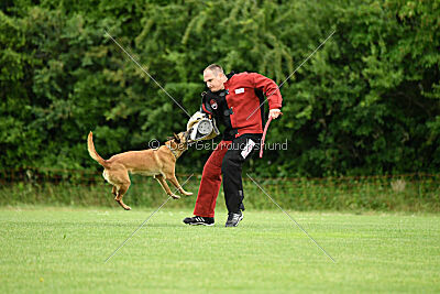 ne pas toucher Amy Winehouse