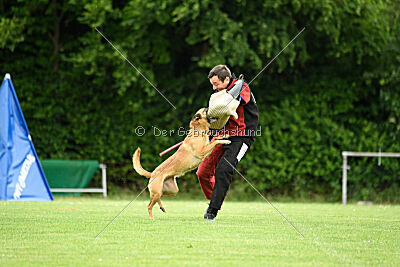 ne pas toucher Amy Winehouse